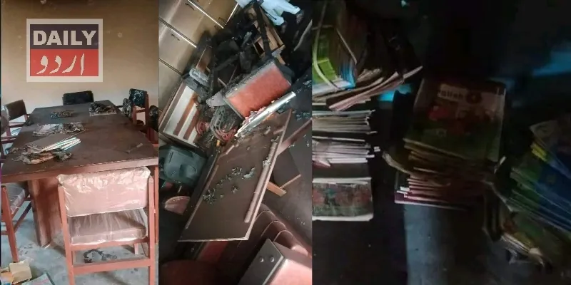دہشتگردی