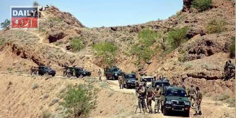 دہشتگردی