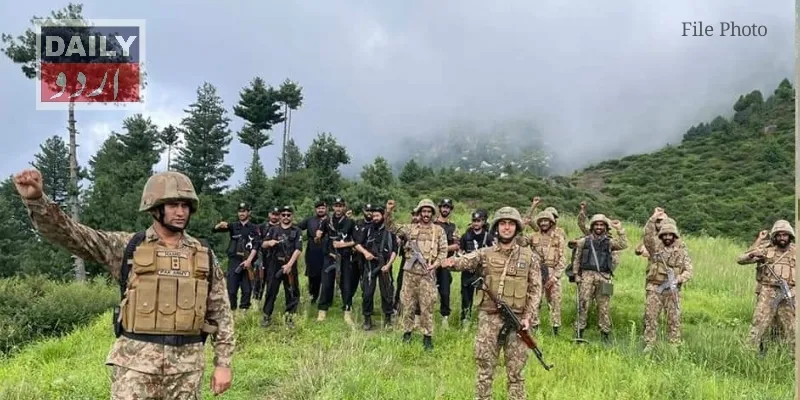 دہشتگردی