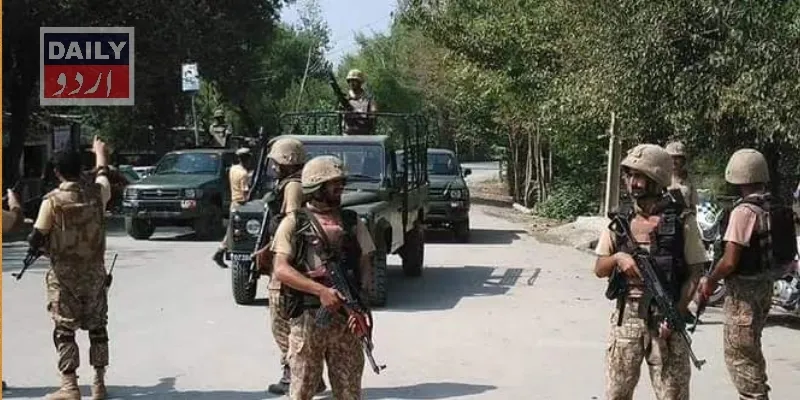 دہشتگردی