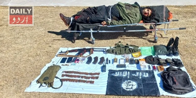 دہشتگردی