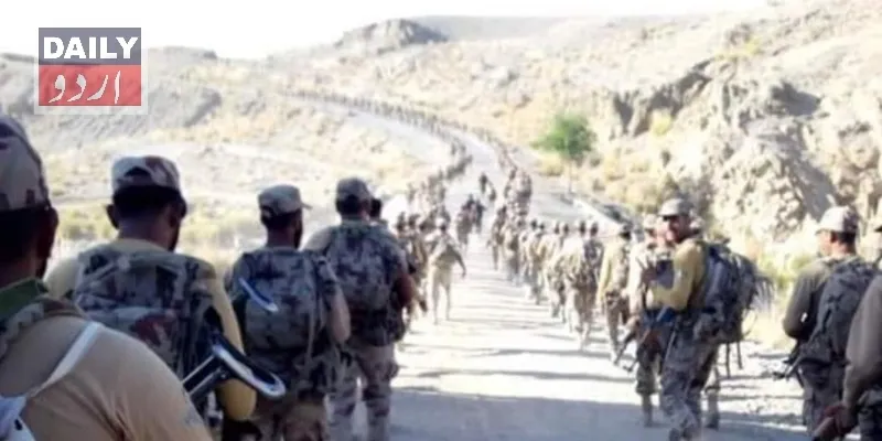 دہشتگردی