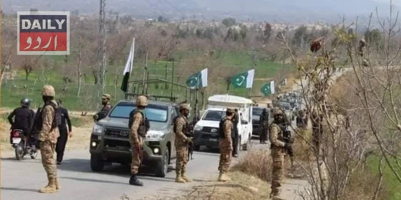 دہشتگردی