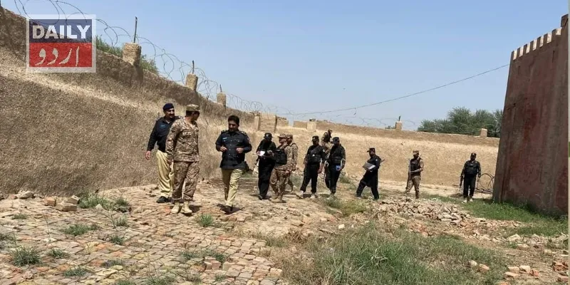 دہشتگردی