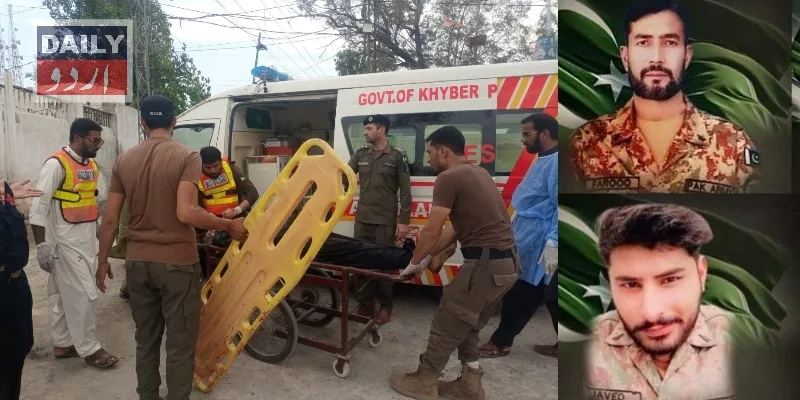 دہشتگردی