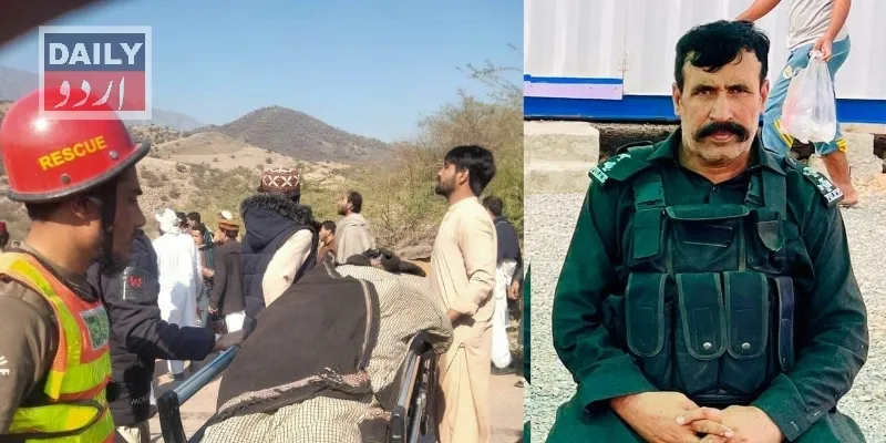 دہشتگردی