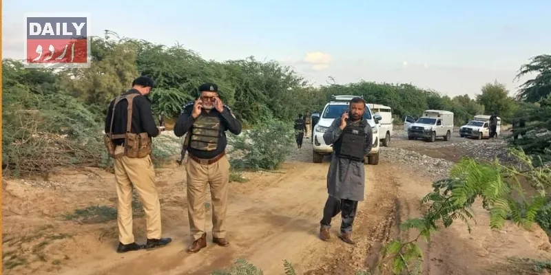 دہشتگردی