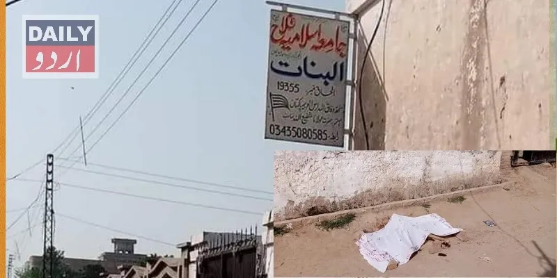 کورٹس