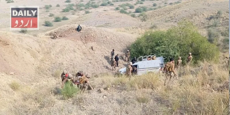 دہشتگردی