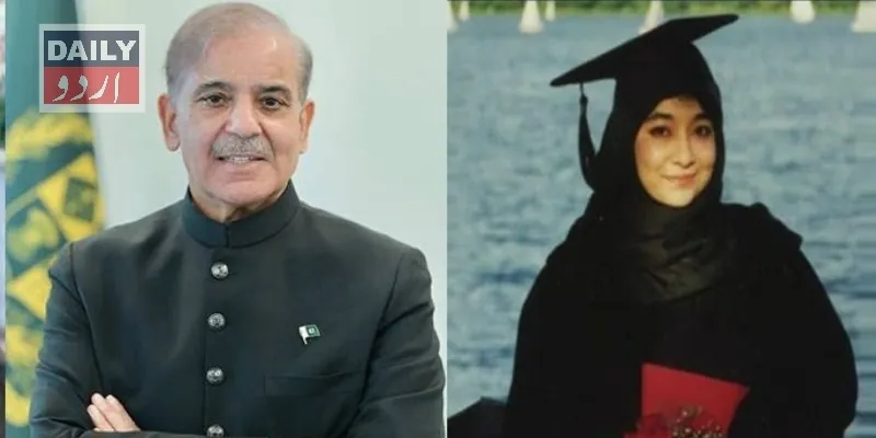 سیاست
