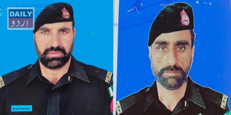 دہشتگردی