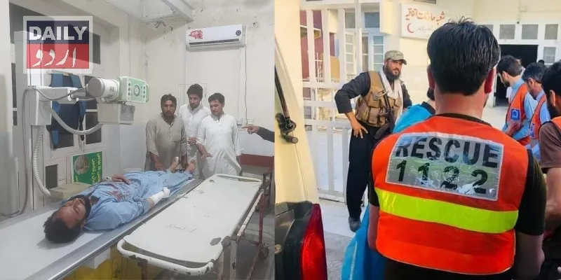 دہشتگردی