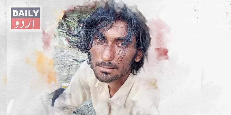 دہشتگردی