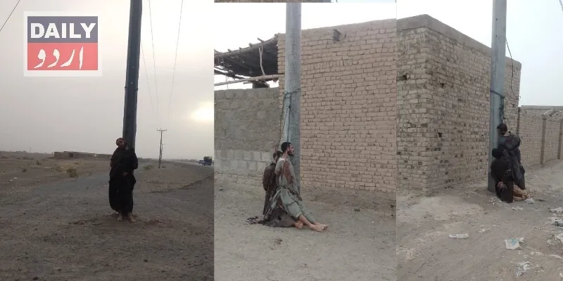 دہشتگردی