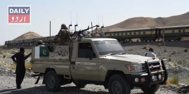 دہشتگردی