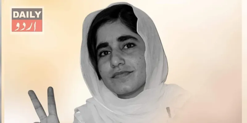 دہشتگردی