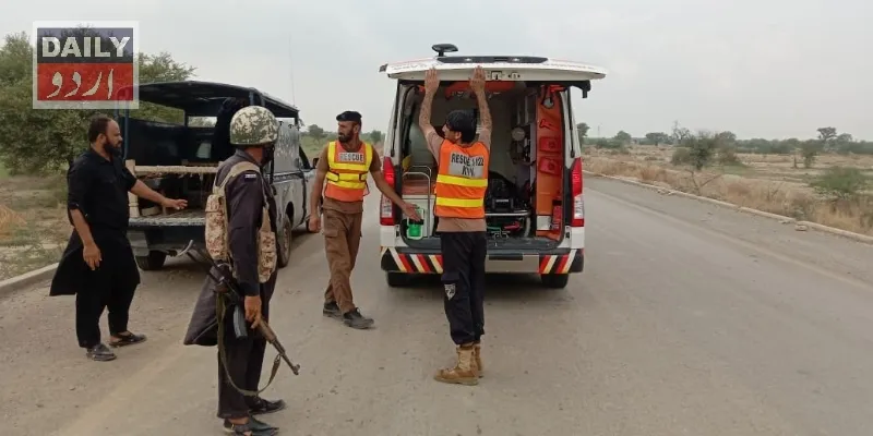 دہشتگردی