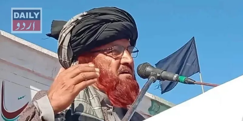 سیاست