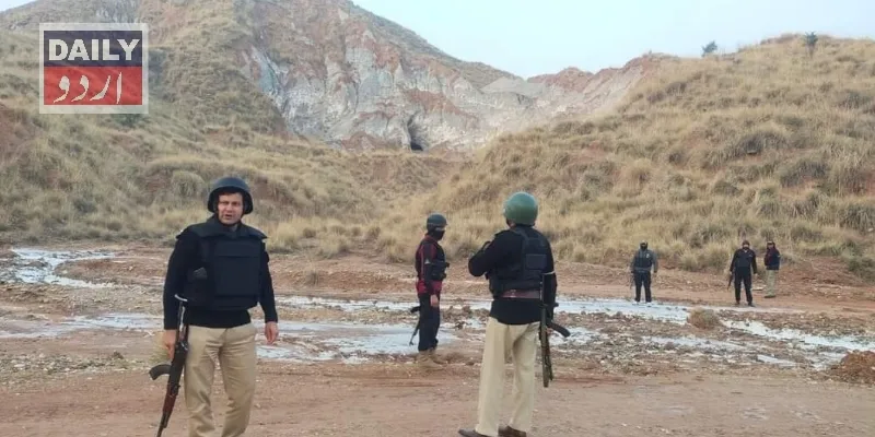 دہشتگردی