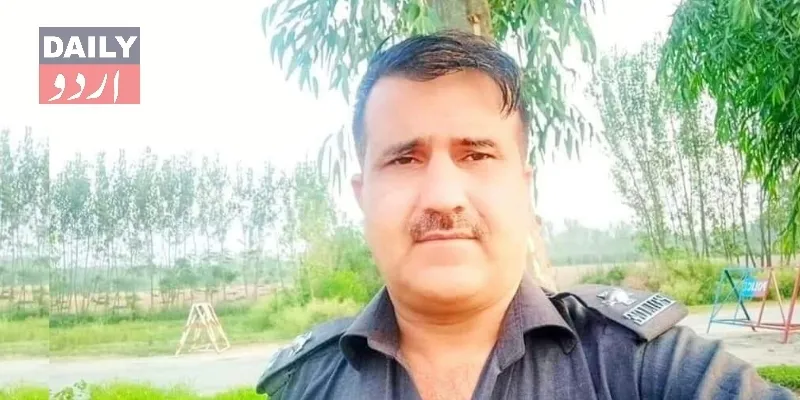 دہشتگردی