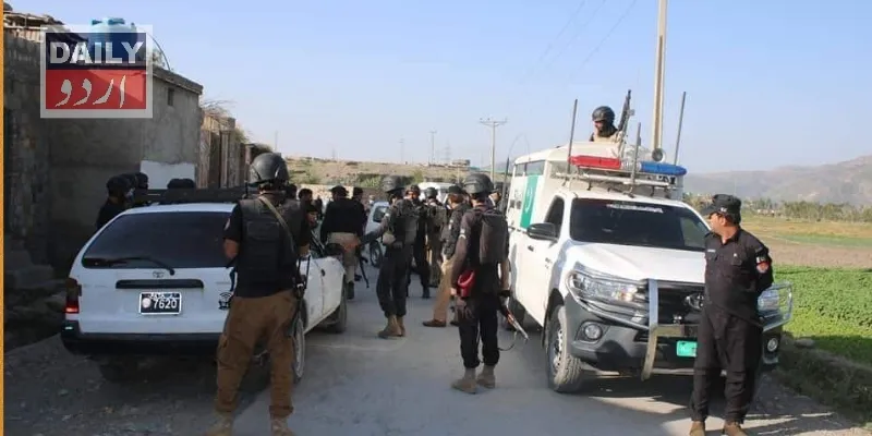 دہشتگردی