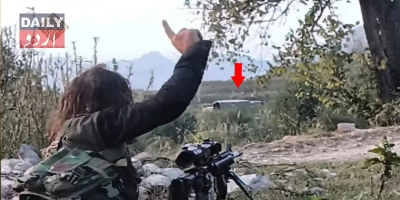 دہشتگردی