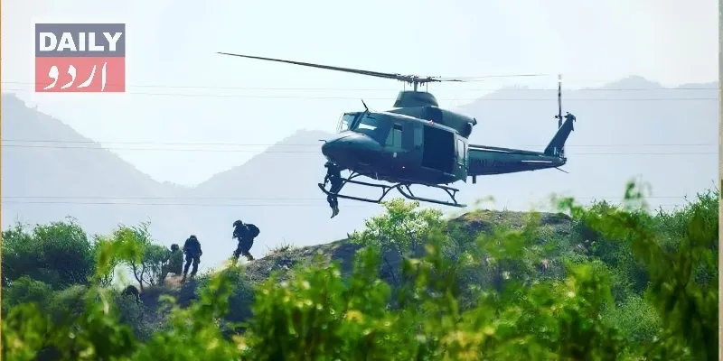 دہشتگردی