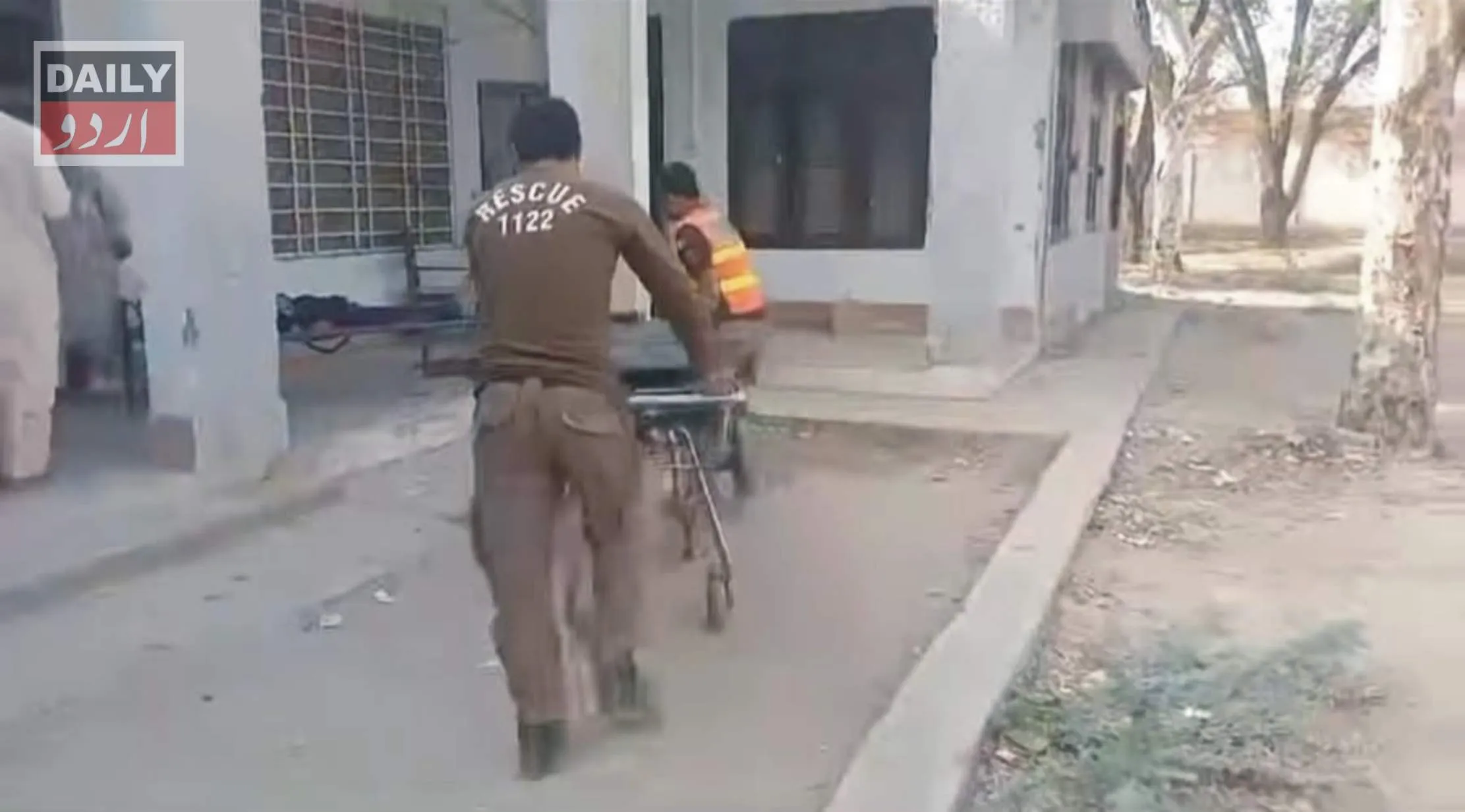 دہشتگردی