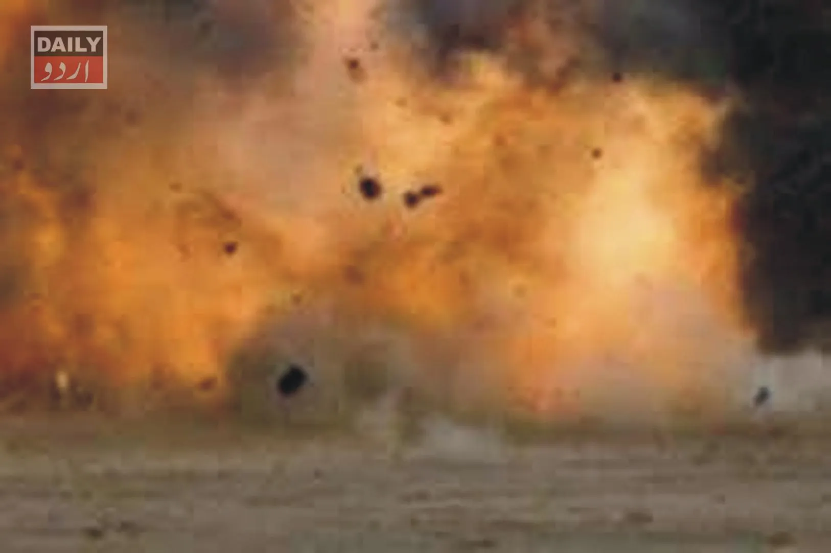 دہشتگردی