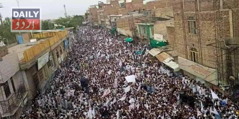 دہشتگردی