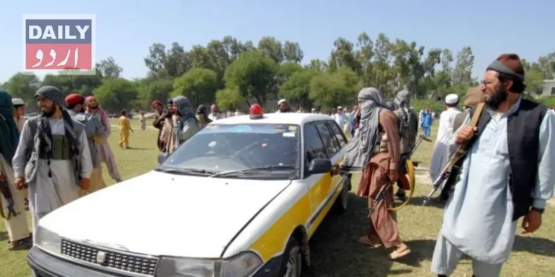 دہشتگردی