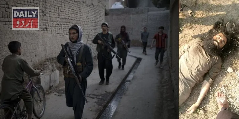 دہشتگردی