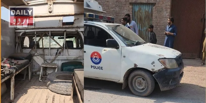 دہشتگردی