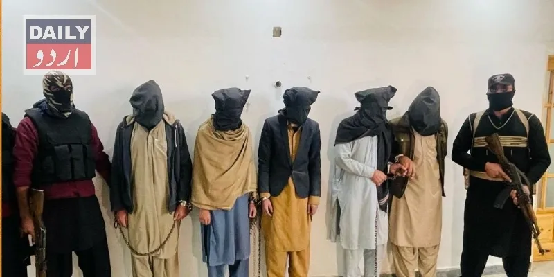 دہشتگردی