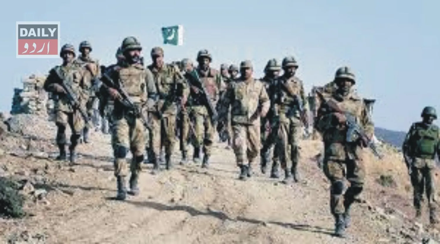 دہشتگردی