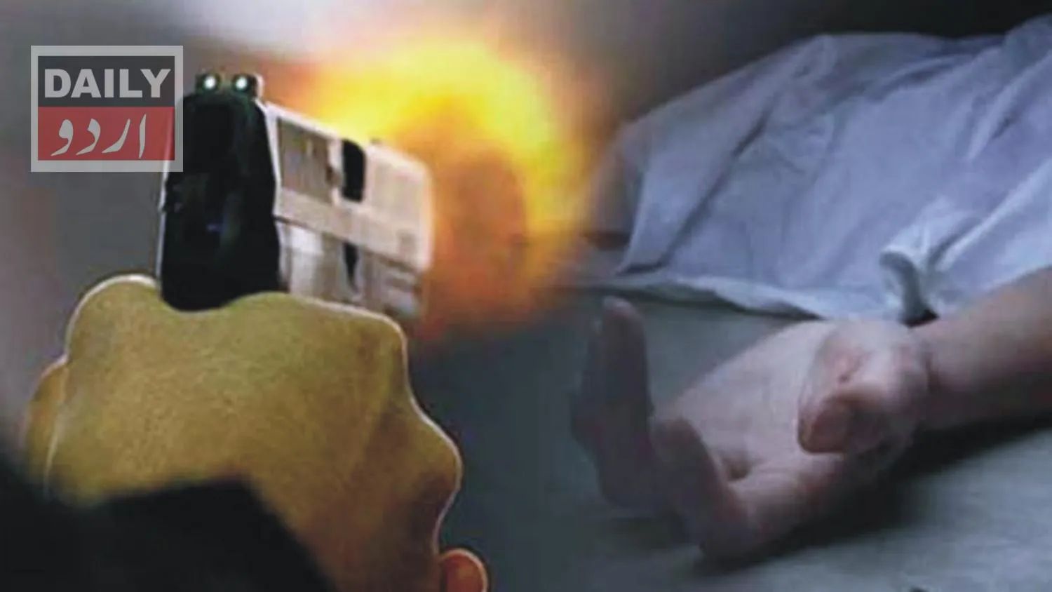 دہشتگردی
