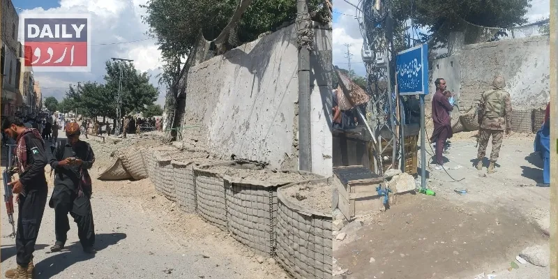 دہشتگردی