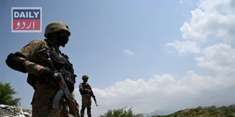 دہشتگردی