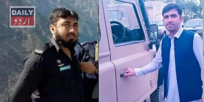 دہشتگردی