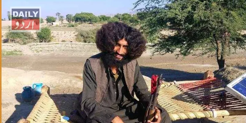 دہشتگردی