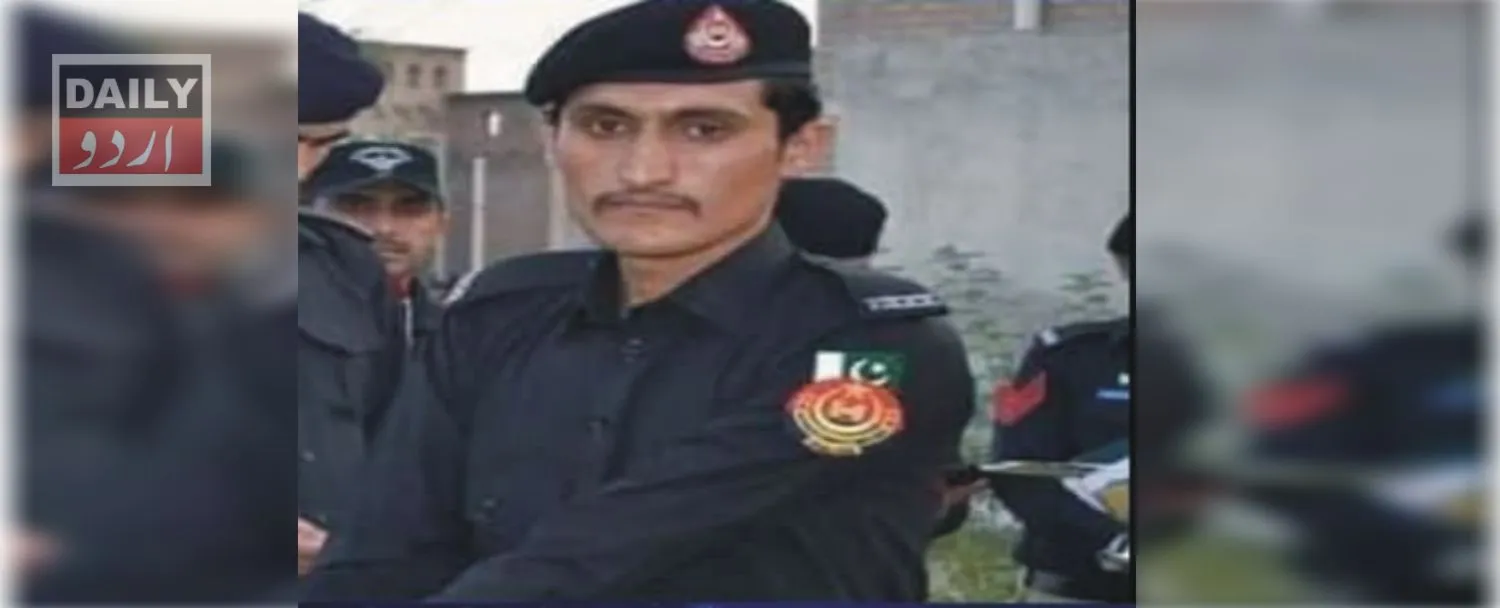 دہشتگردی