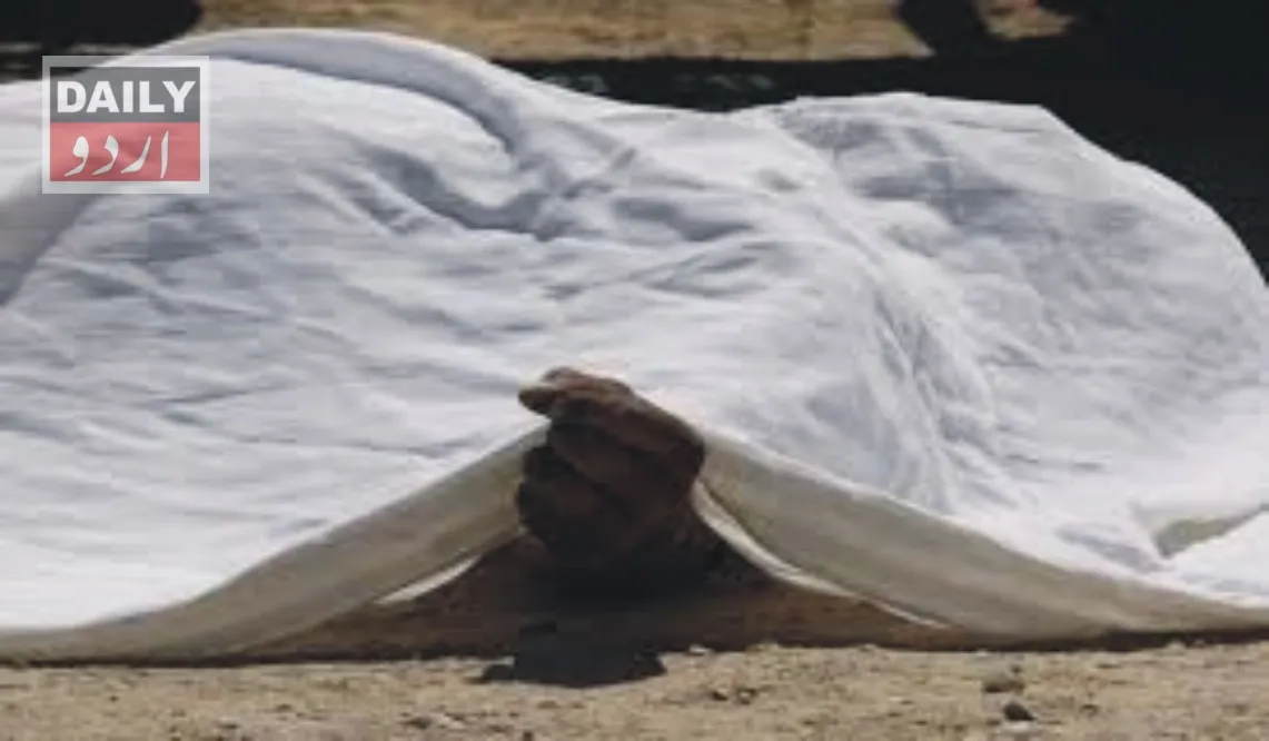 دہشتگردی