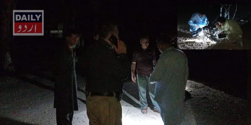 دہشتگردی