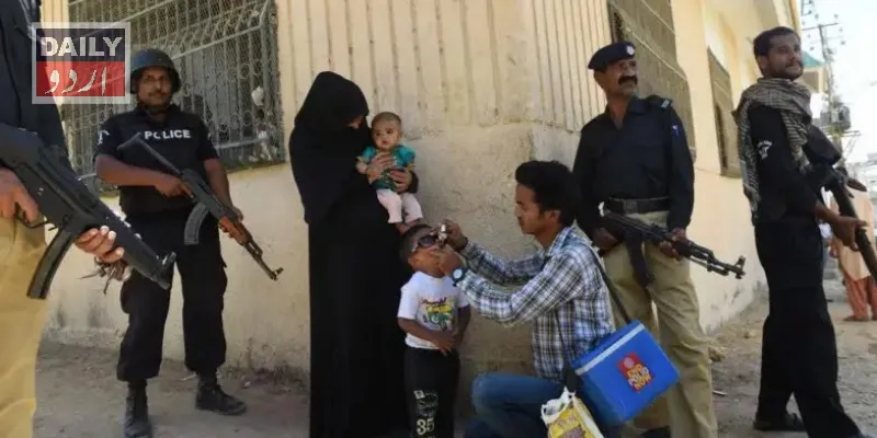 دہشتگردی