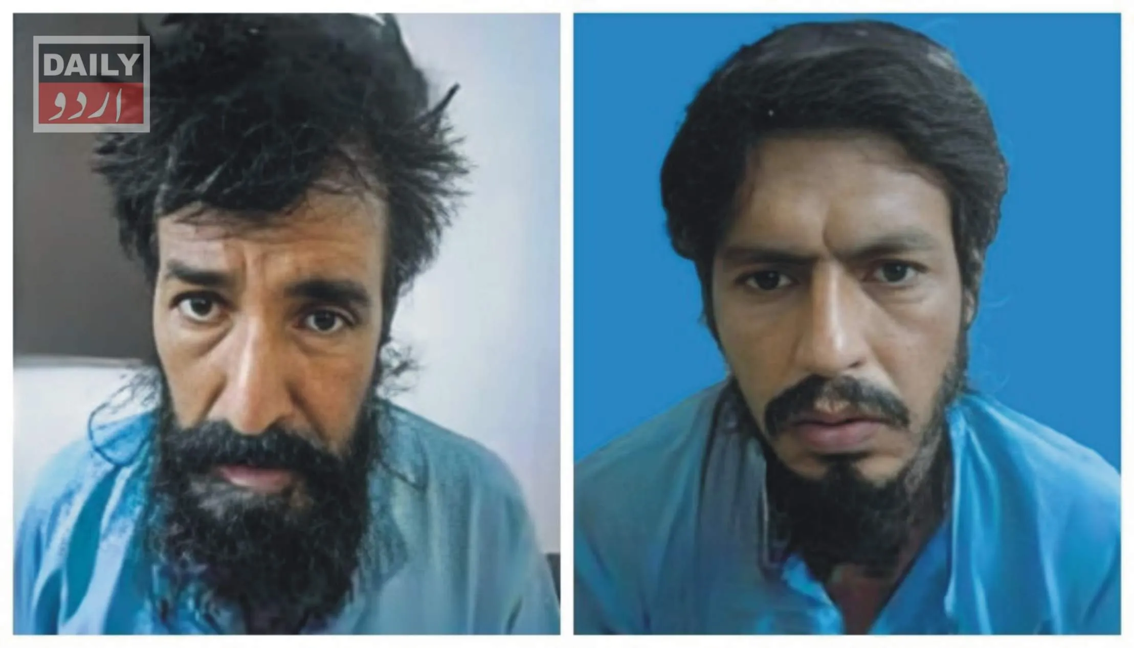 دہشتگردی
