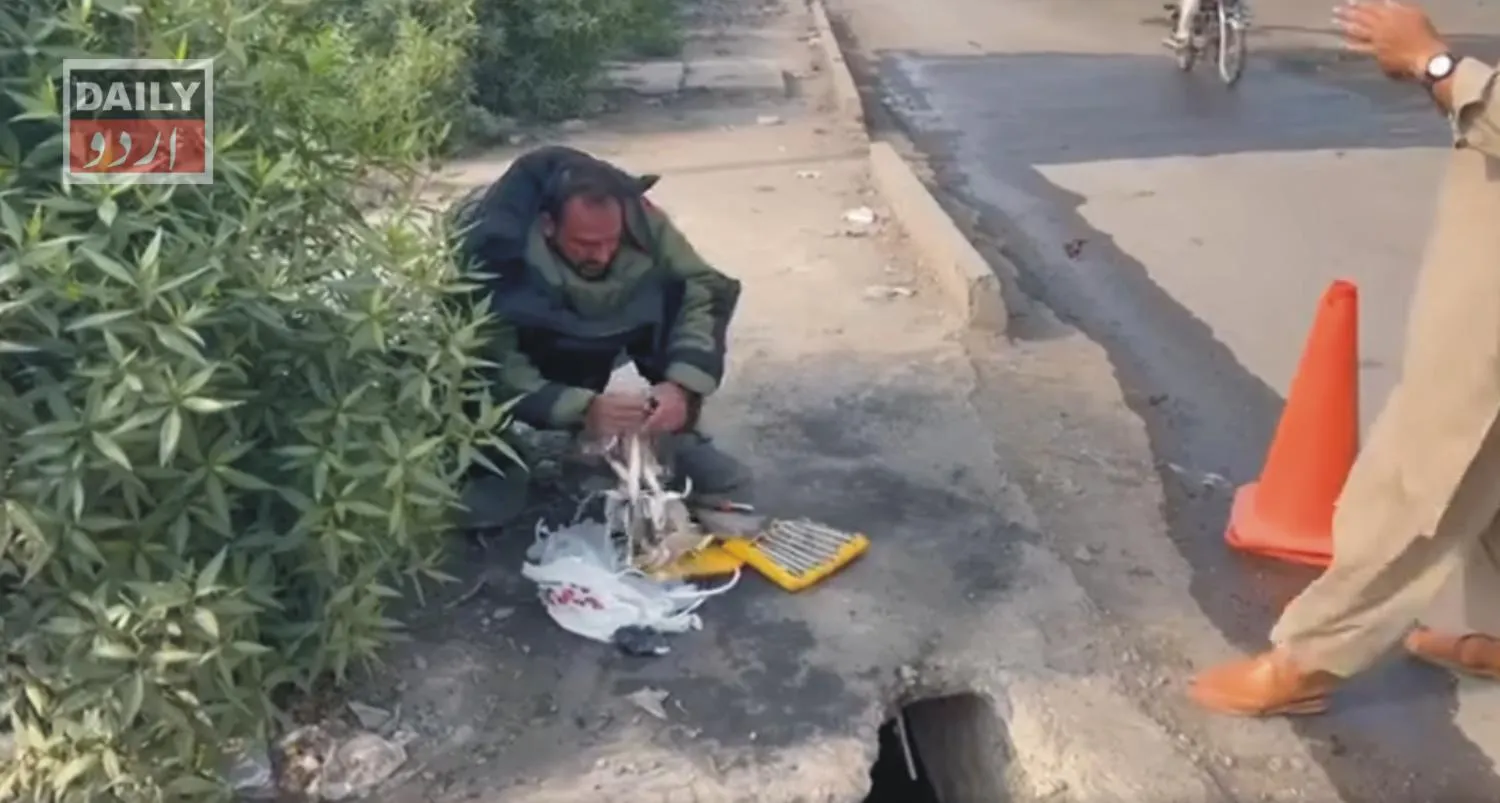 دہشتگردی