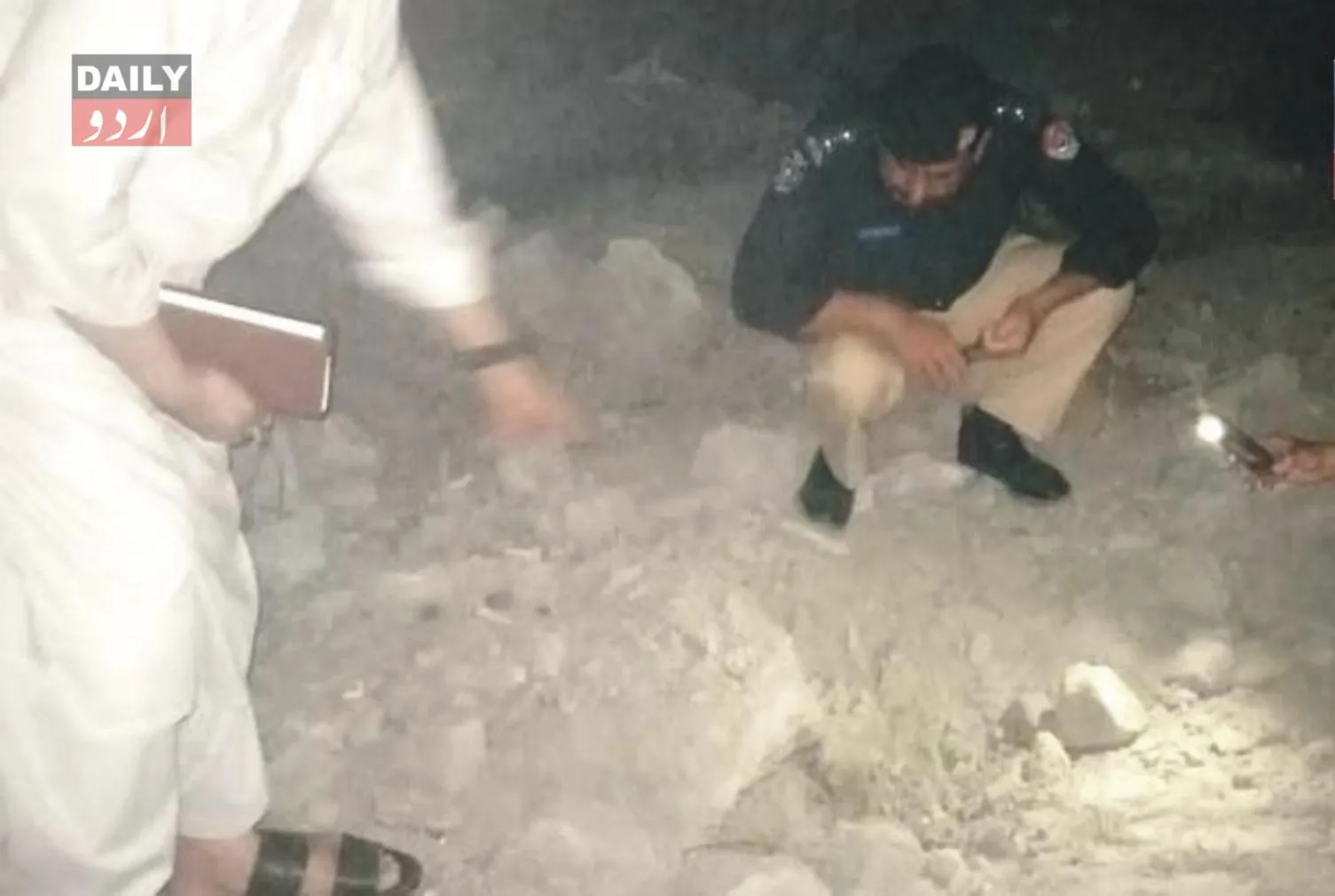 دہشتگردی