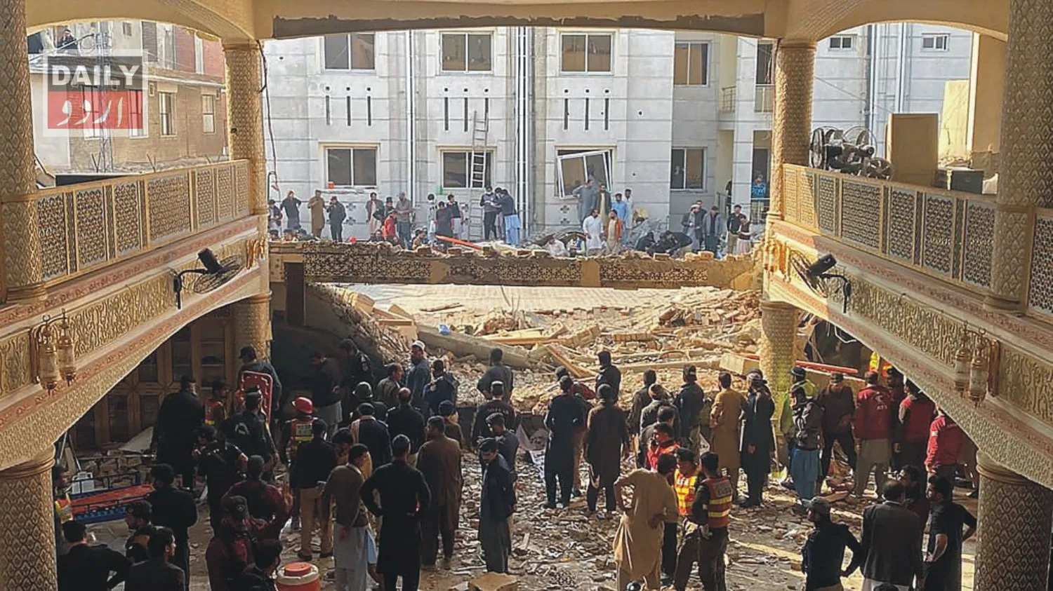 دہشتگردی