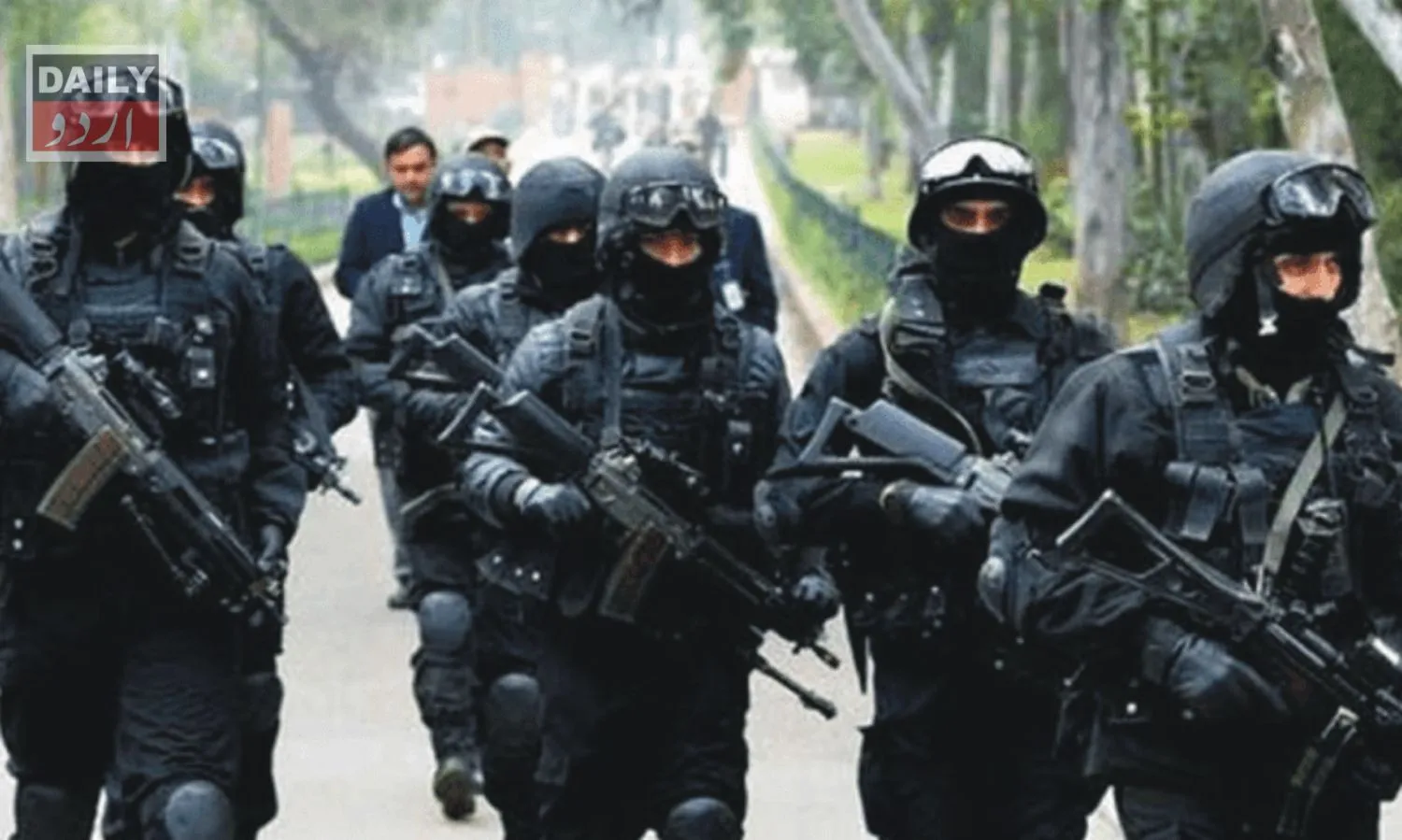 دہشتگردی