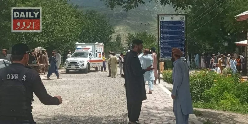 دہشتگردی